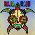 WiLDCOAST Baja Bash
