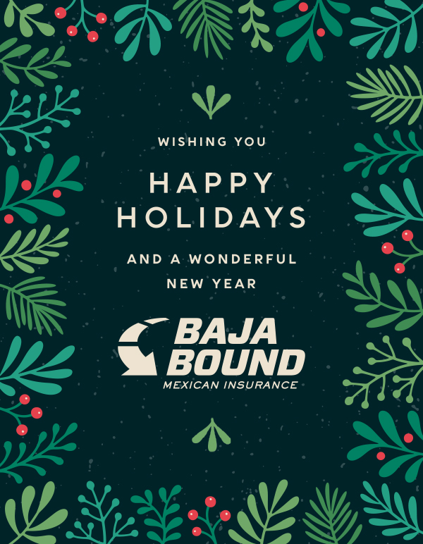Happy Holidays from Baja Bound