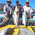 Fall Baja Fishing Report