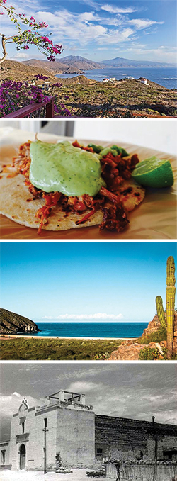 Baja Bound February Newsletter